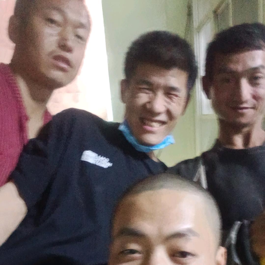 犀利的猫咪