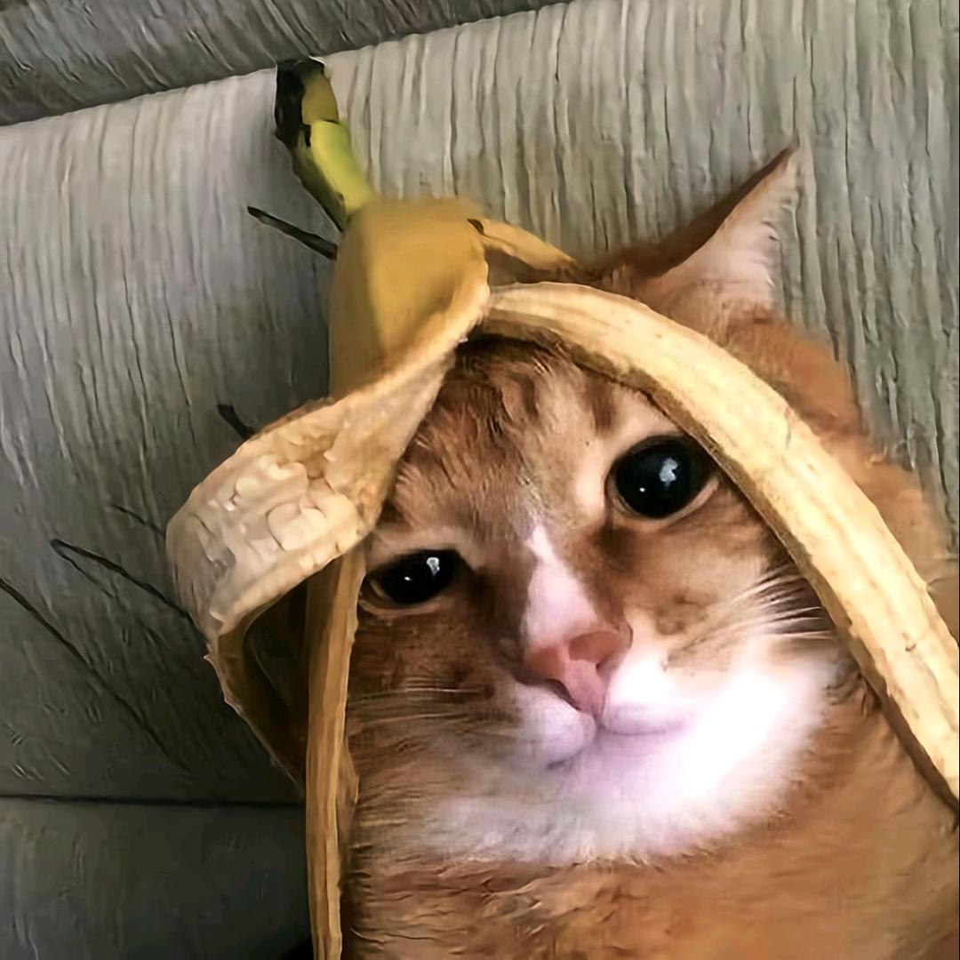 香蕉你个banana🍌