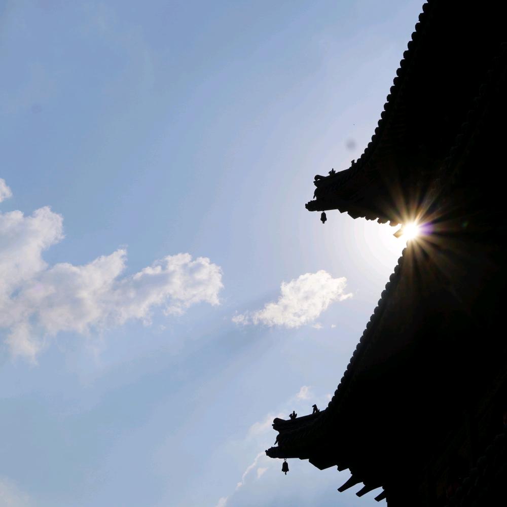 寻找旅行的小柯基