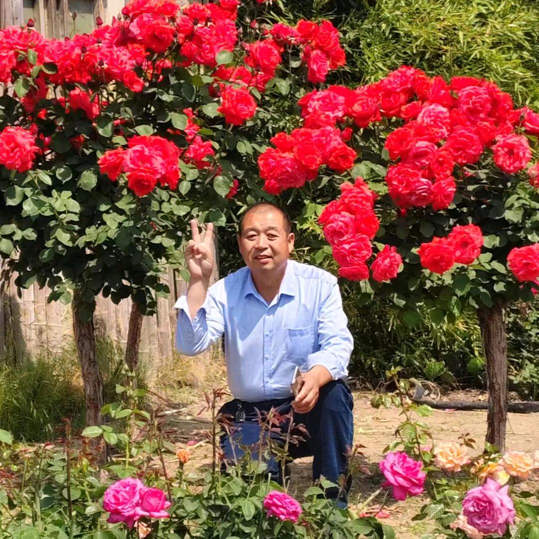 好人一生平安！单身！冉