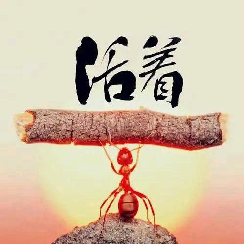 心已成灰