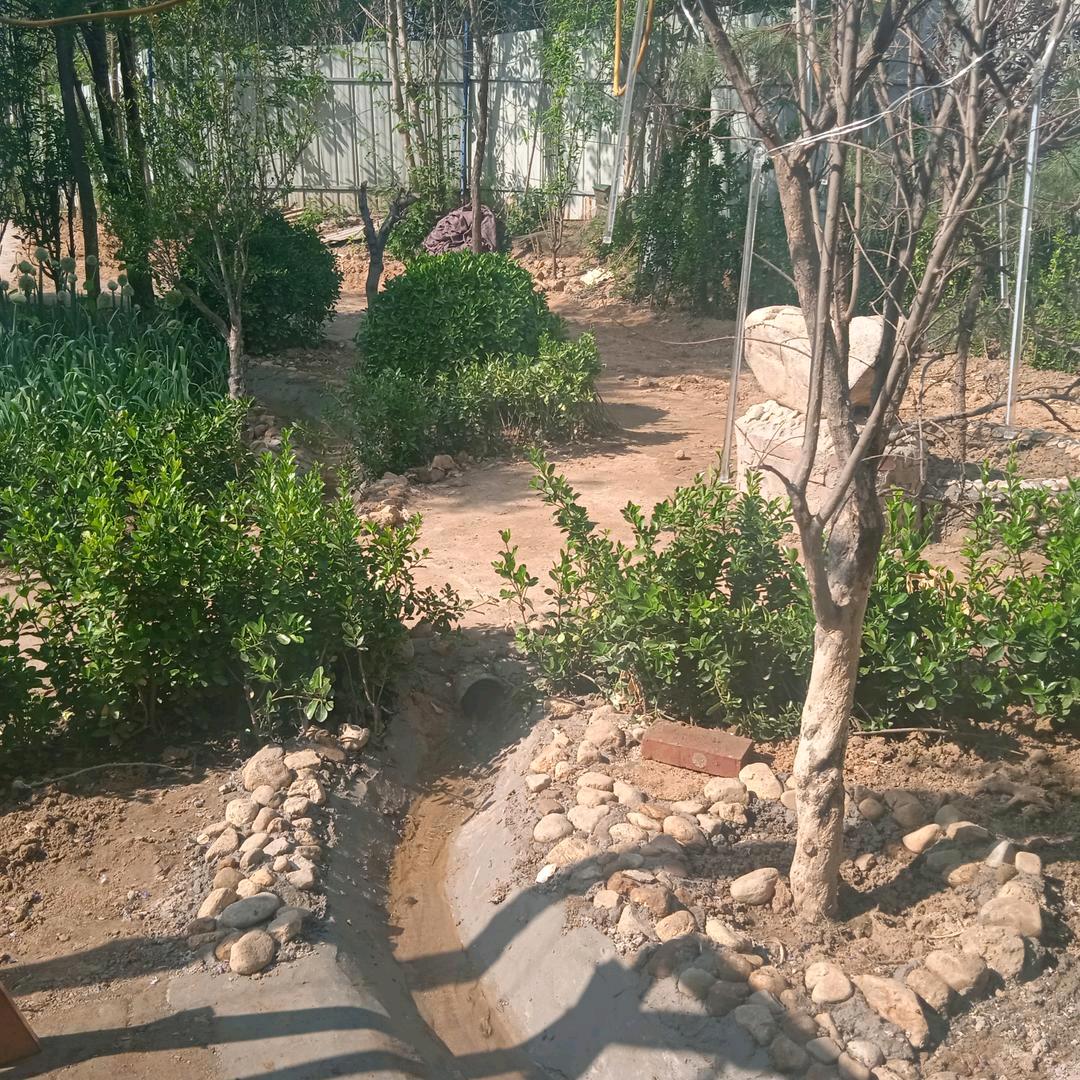 家乡
