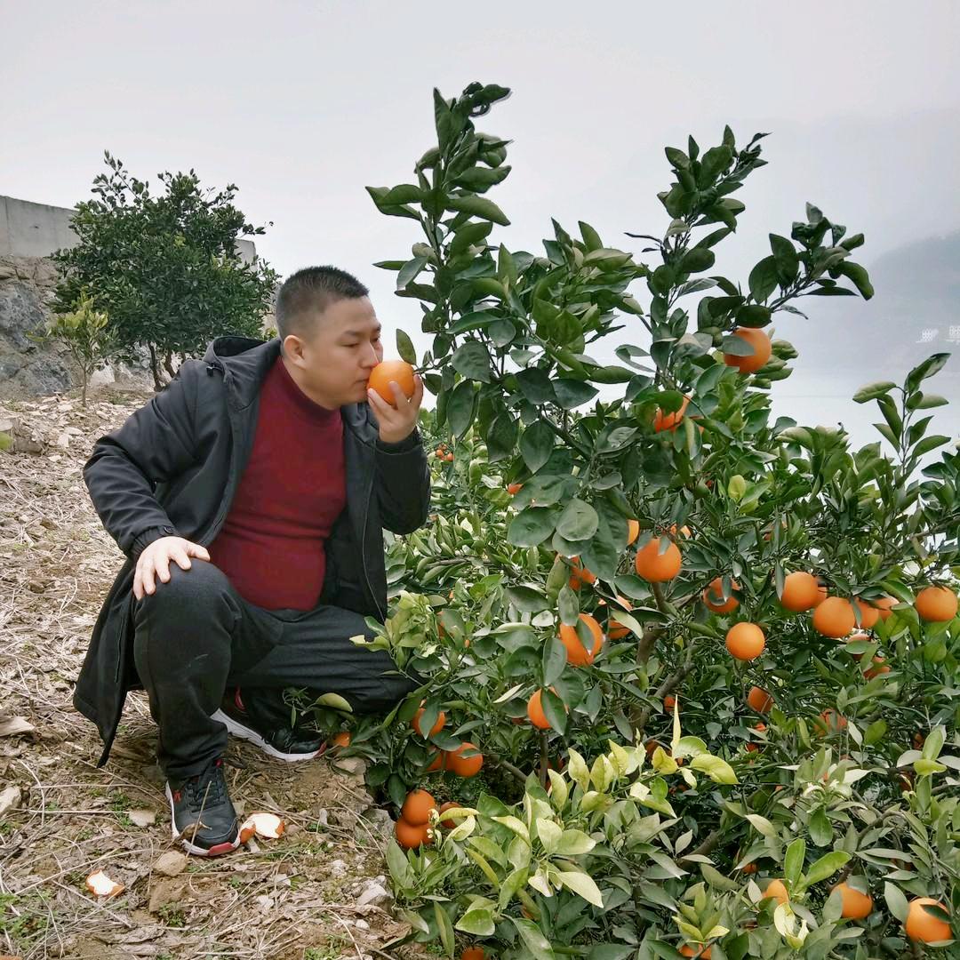 福贵