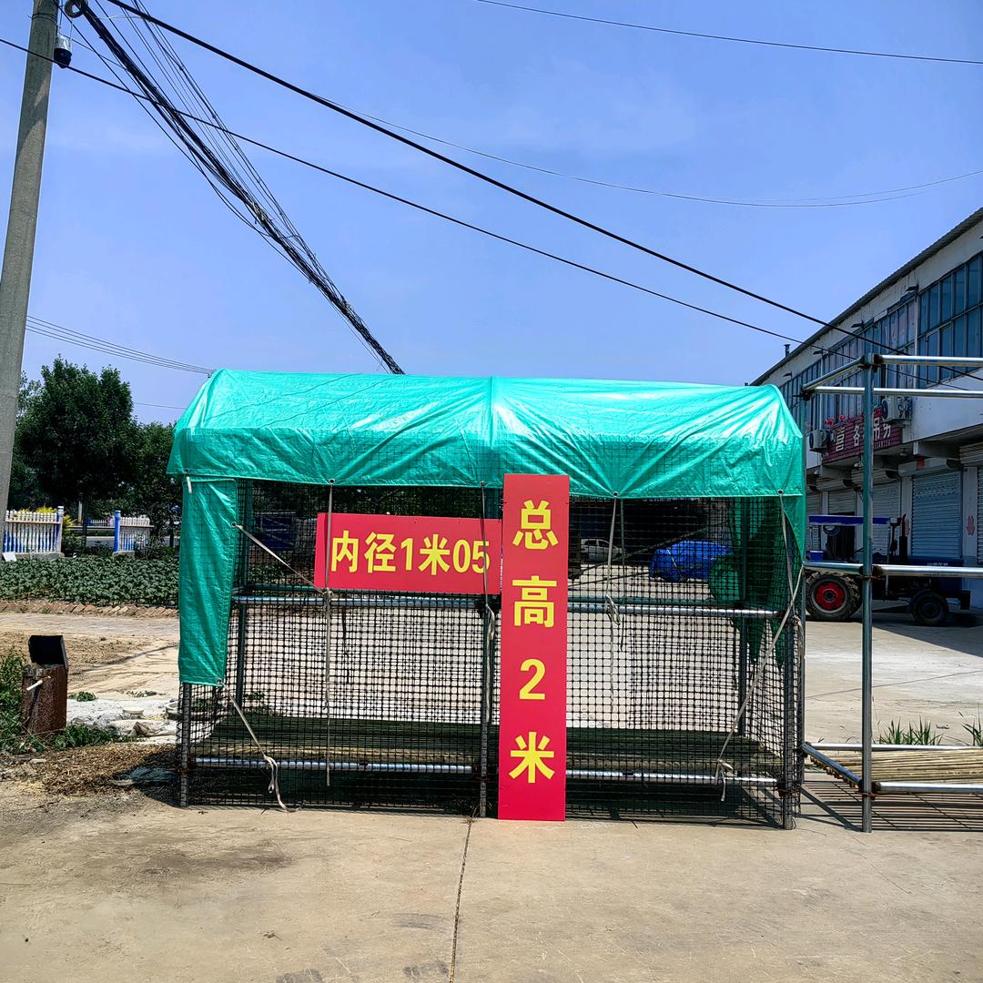 康顺存储玉米棒一站式服务