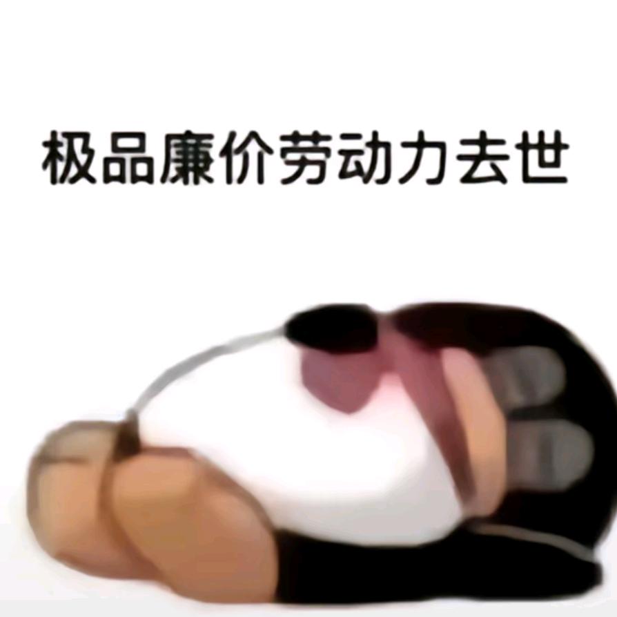 极品廉价劳动力