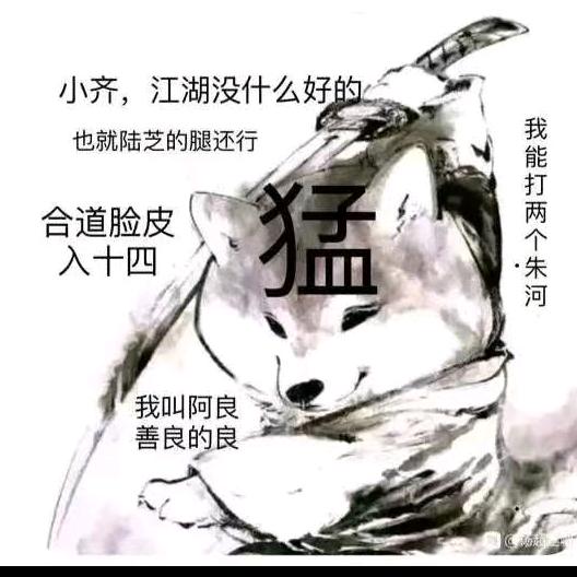 元芳你怎么看