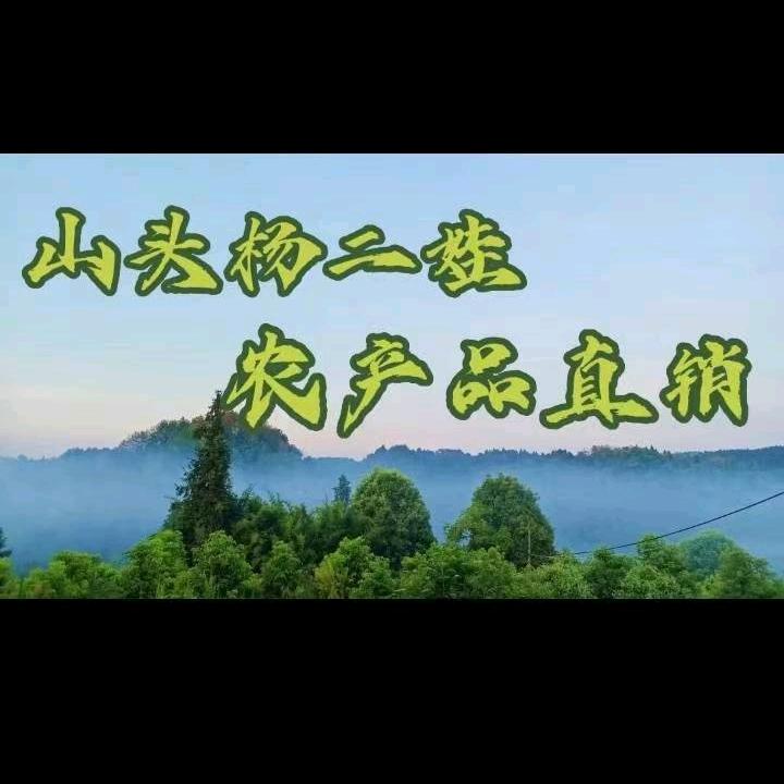 杨二娃