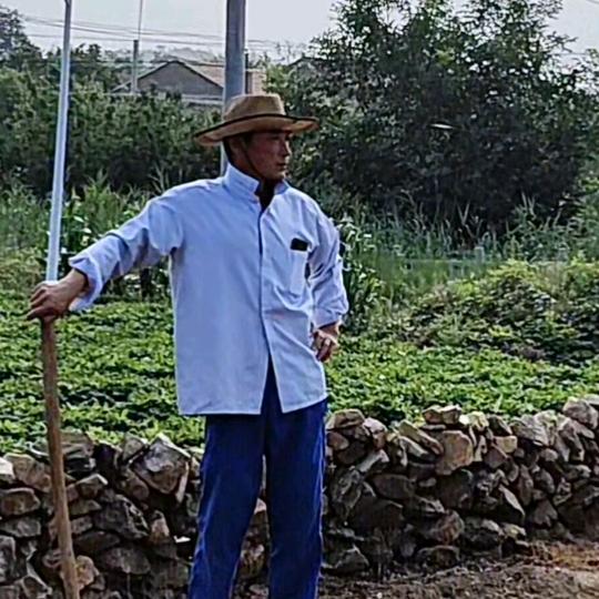 起风了（千万别看我橱窗）