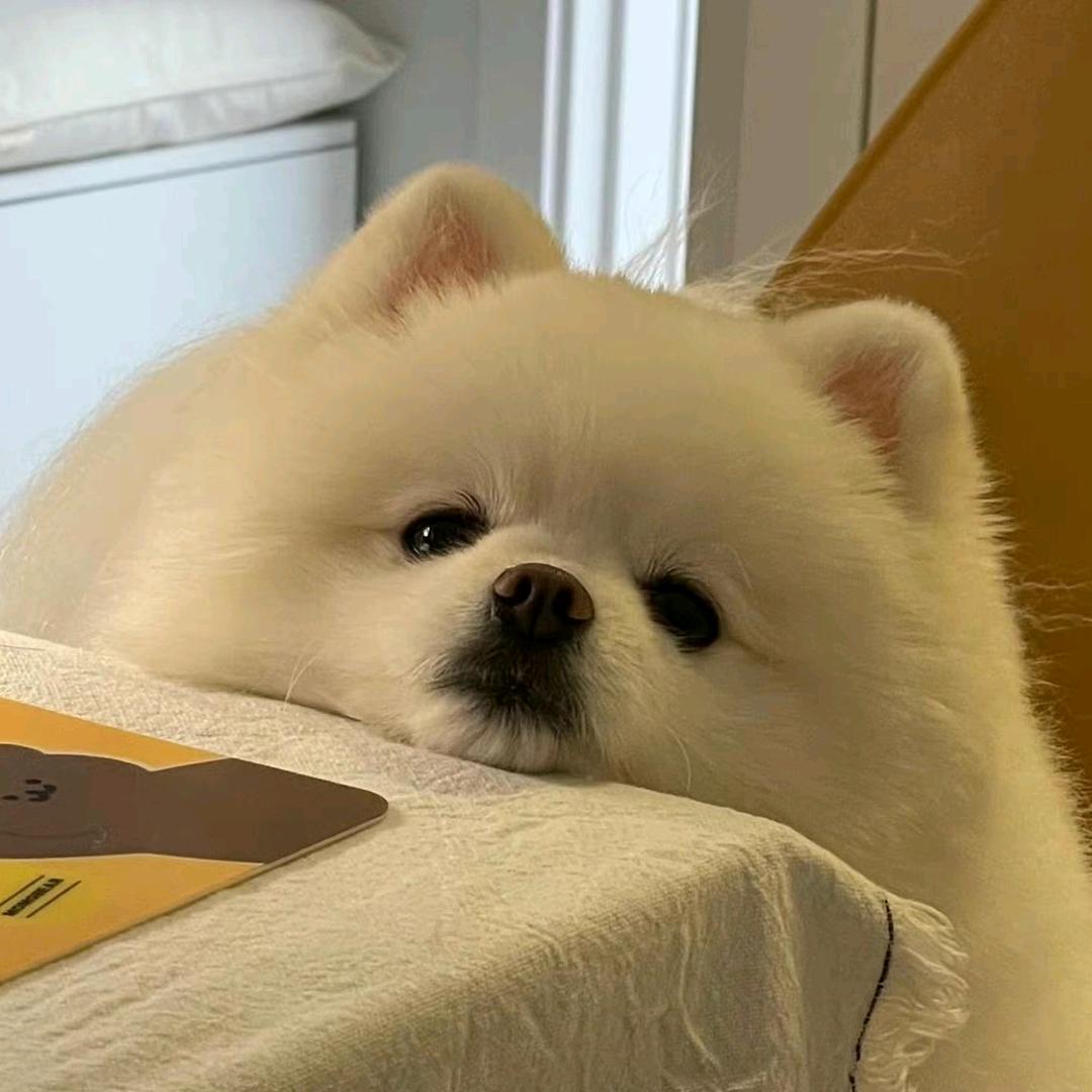 俞bubu0.o