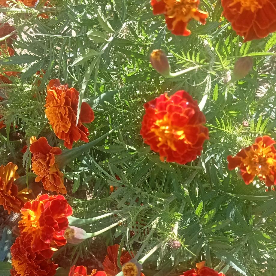 余生谁懂我的心