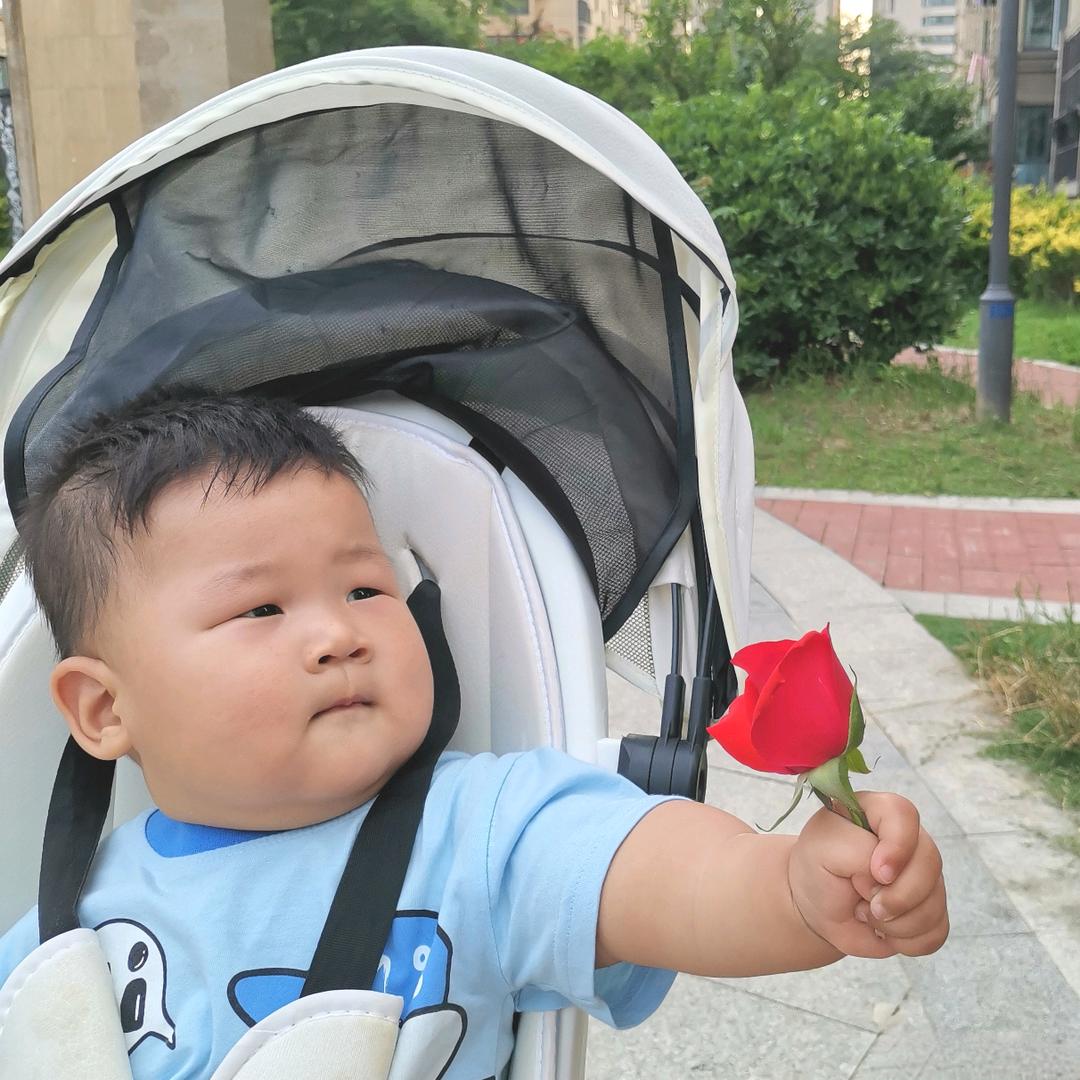 花姐_