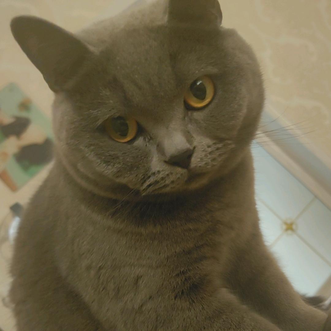 仲孙翰学