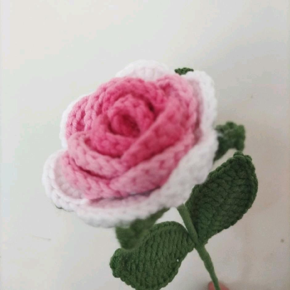 编织美丽的梦