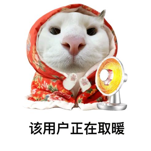 档案不档案
