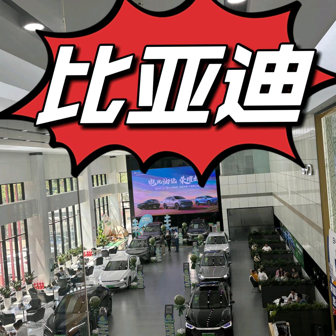 BYD聊汽车