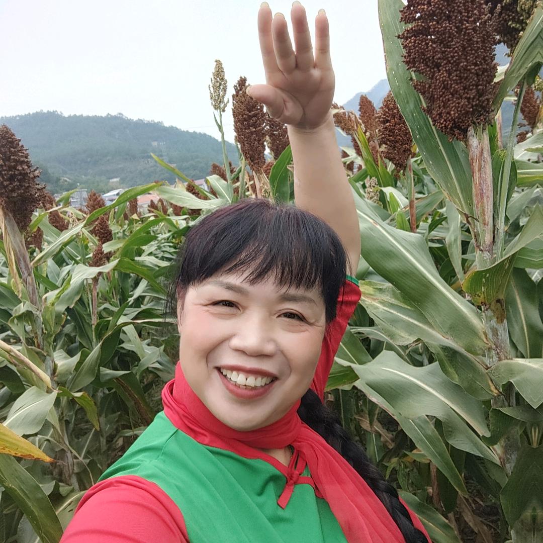 冬天里的春天（63年的兔）