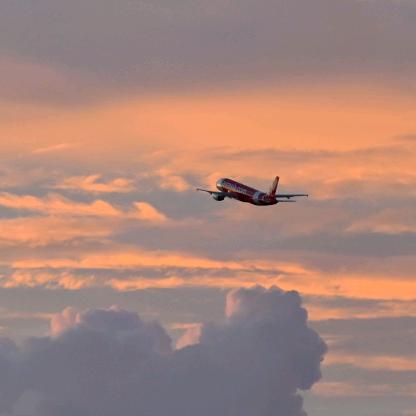 得闲饮茶📸约拍