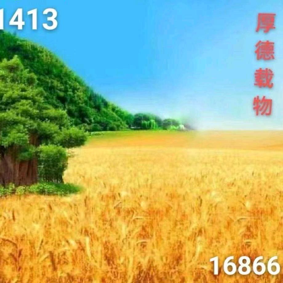 静新68756