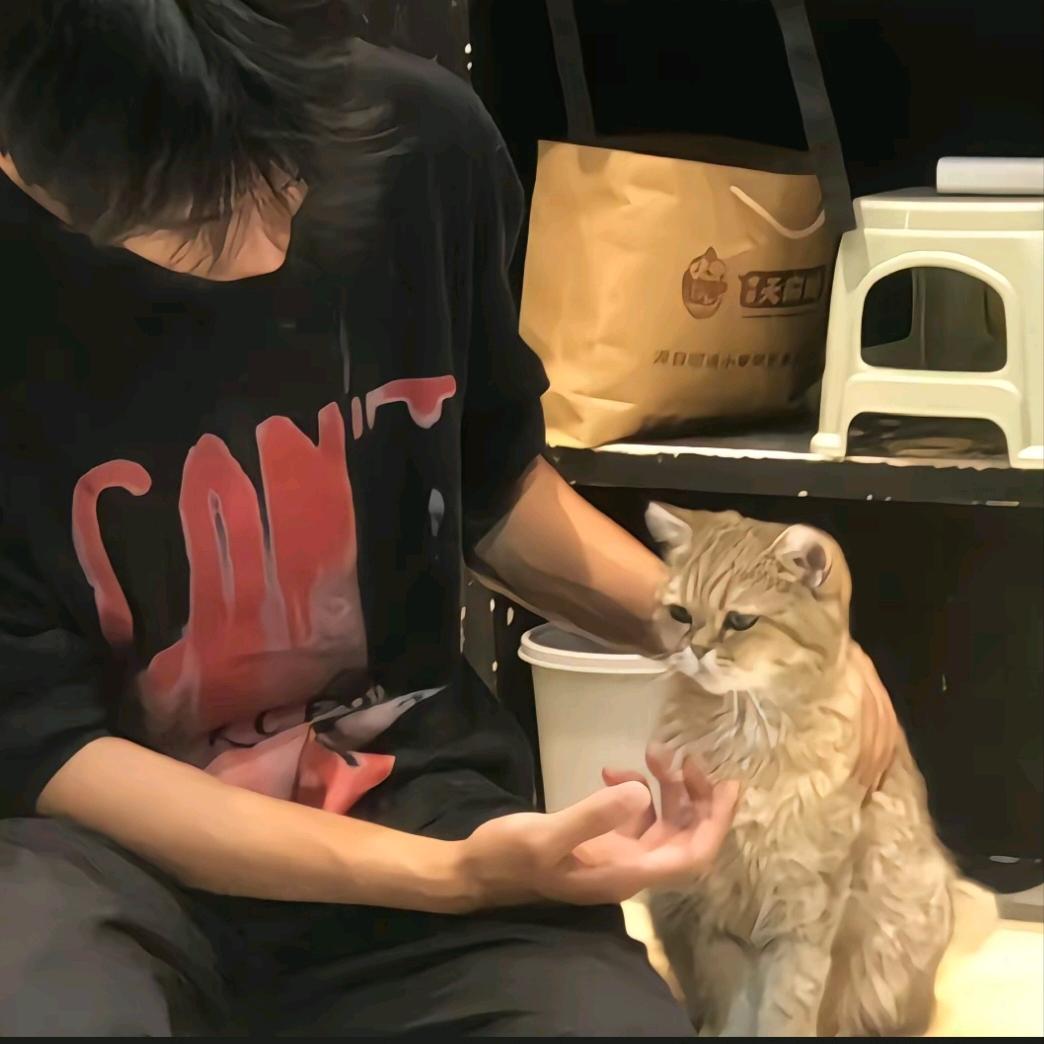 认真