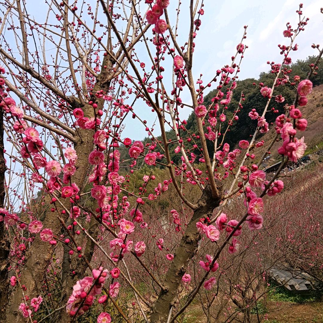 刘姐（生命在于运动）