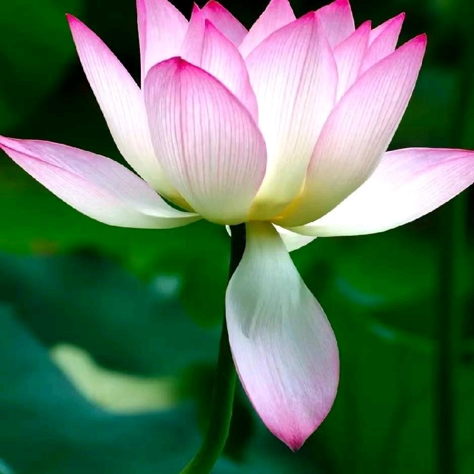 风雨过后是晴天