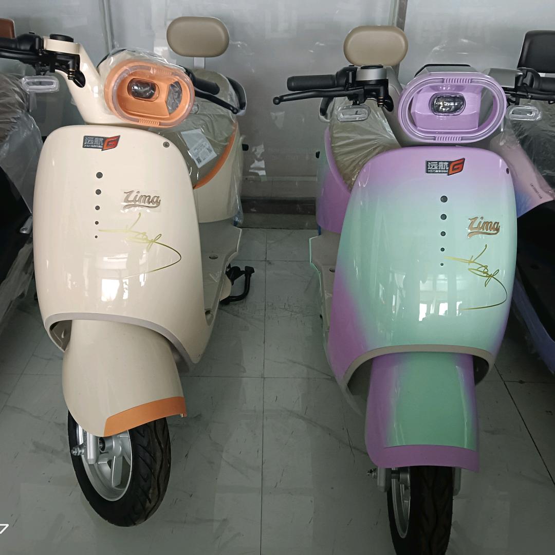 陈固立马电动车
