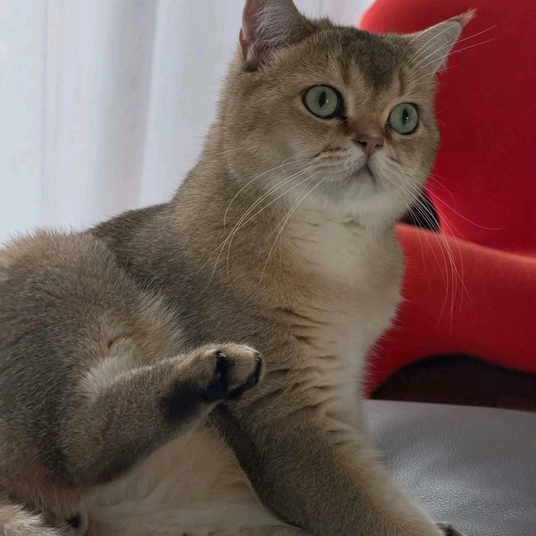 mmmm_M