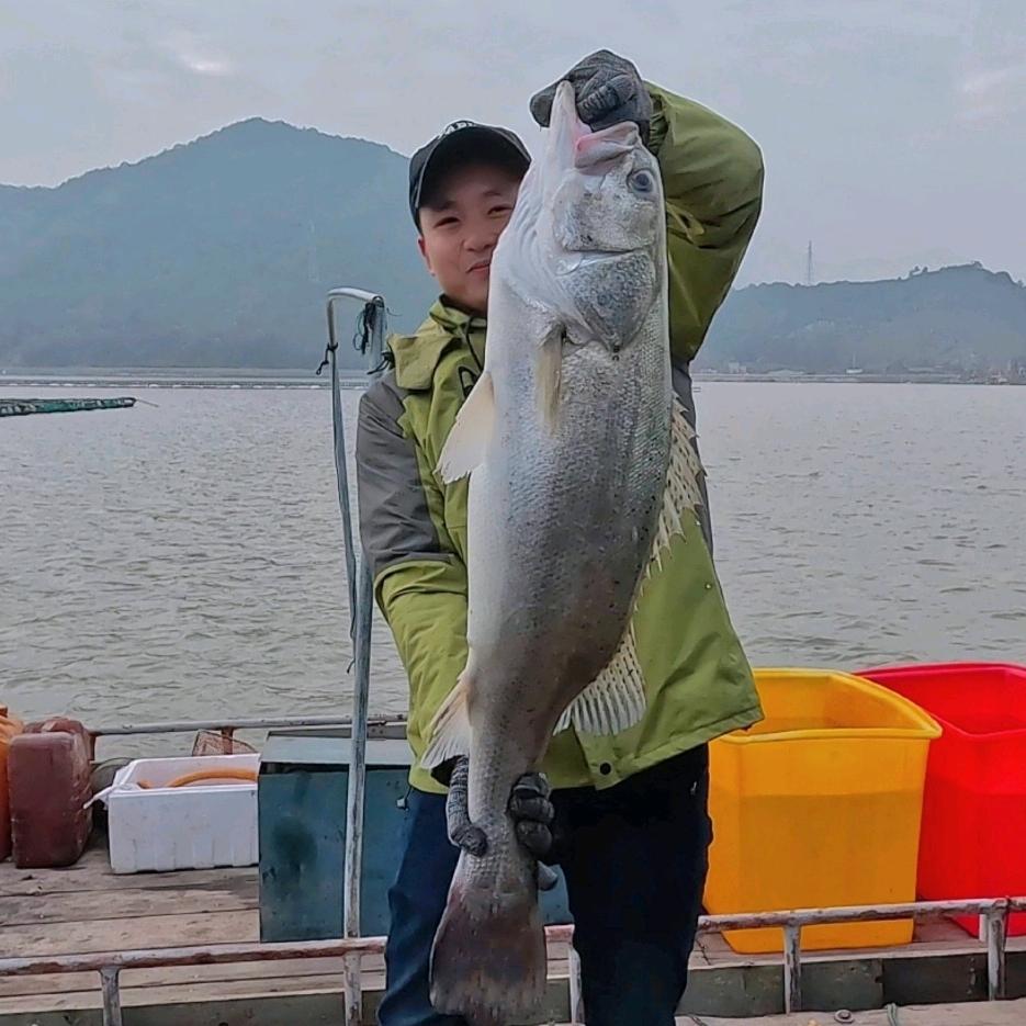 大头爱钓鱼