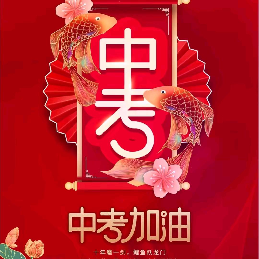 菏泽中考升学规划朱老师