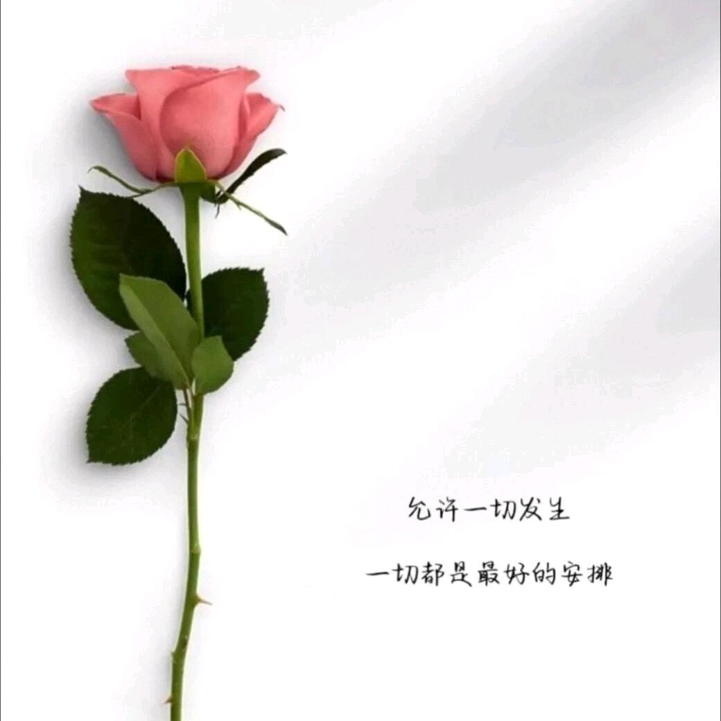 香水女人💃🏾