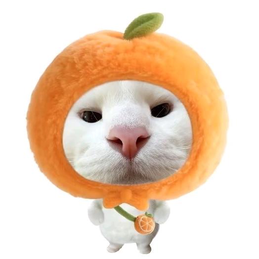 心跳的证明づ♡ど