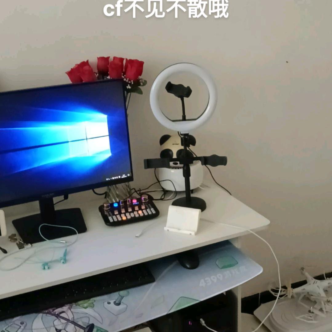 及时行乐