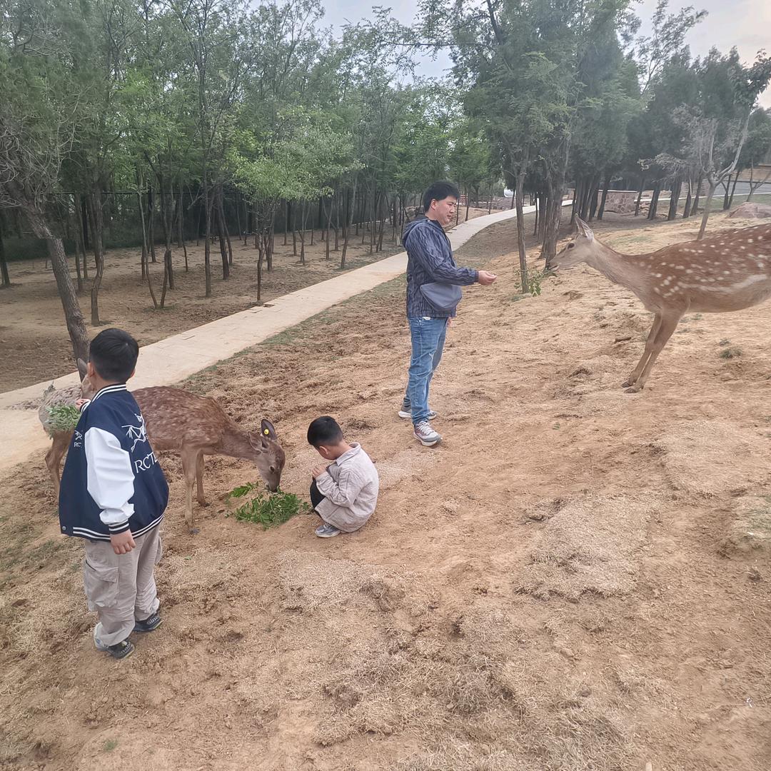 我心依旧