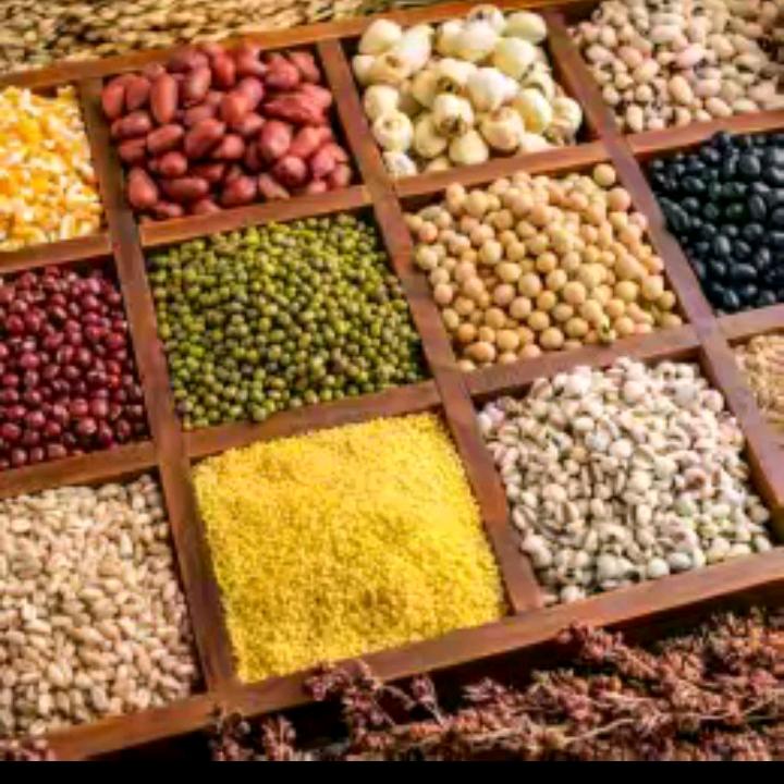 曾老师养胃分享