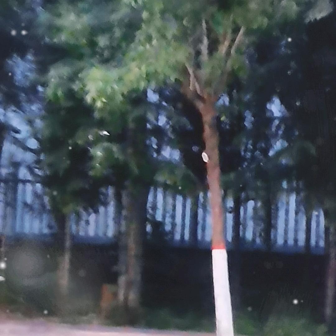平凡人