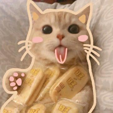 会上树的乔治