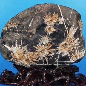 🚘679陳方FSL✈️