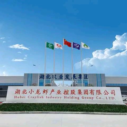 鲜锋领航