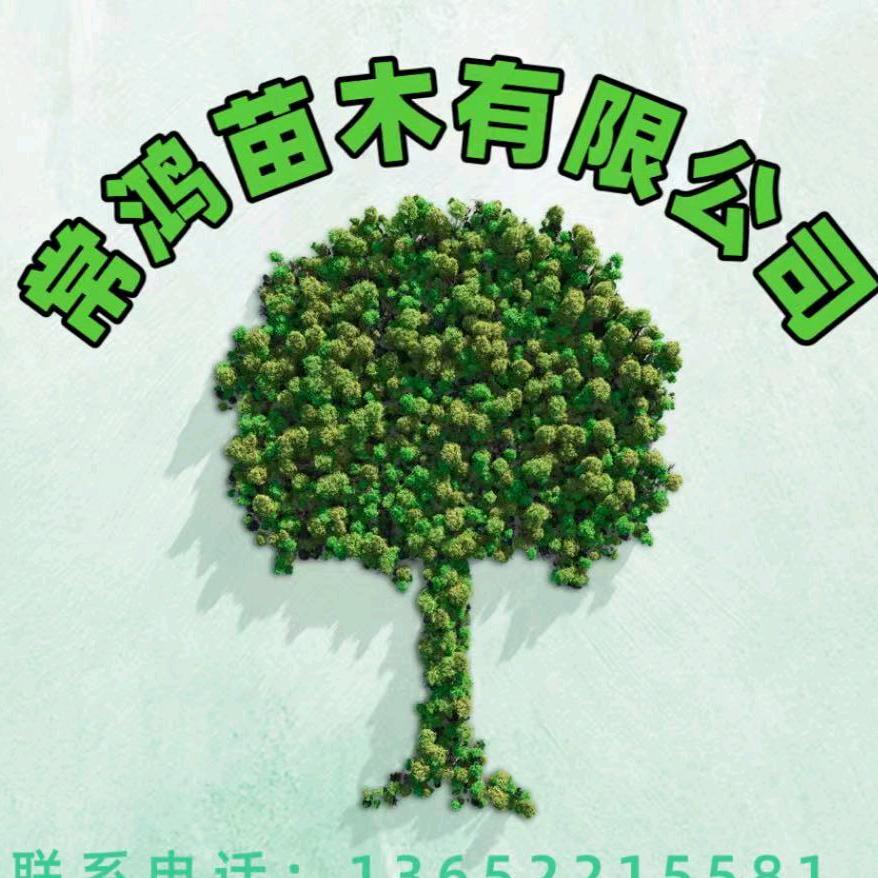 常鸿果树苗木专营店