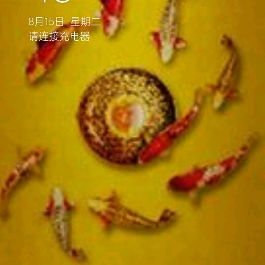 小螃蟹《好物推荐》