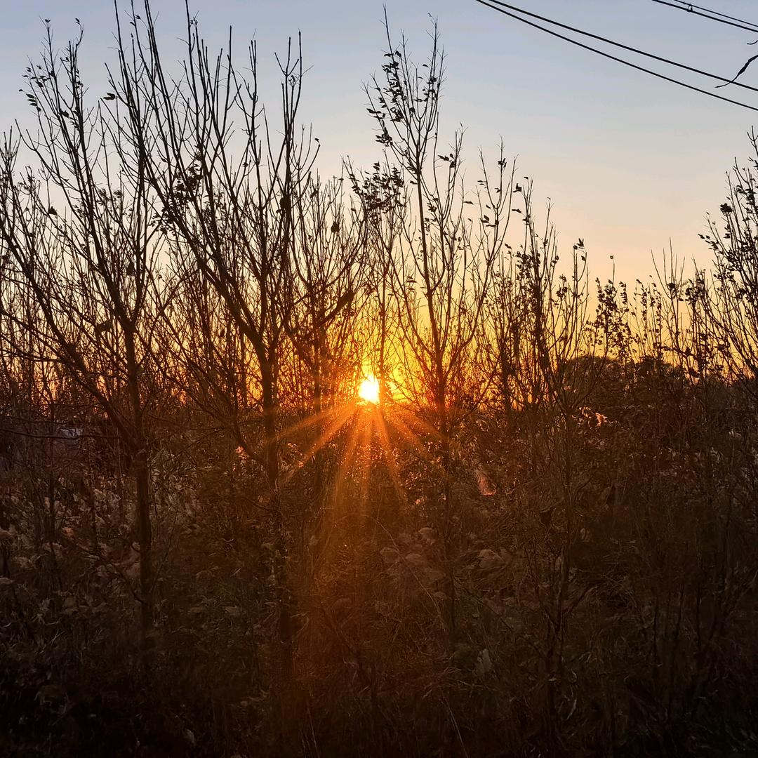 新锐智家量子店