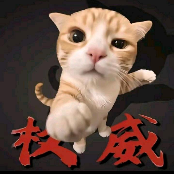 小白yls