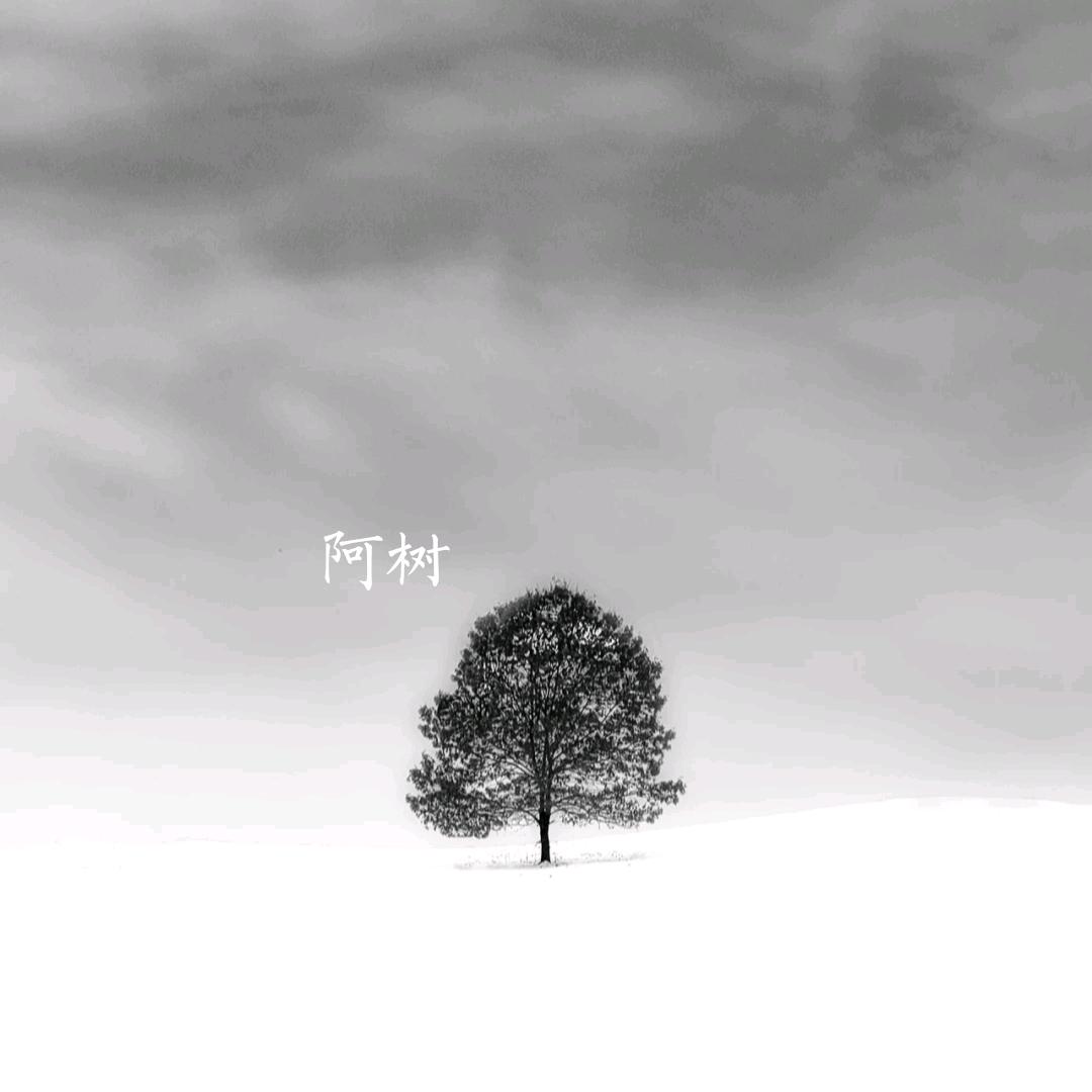 阿树