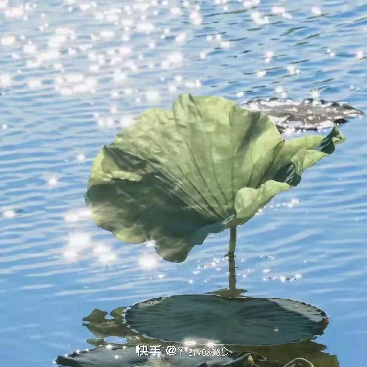 天天开心😁😁😁