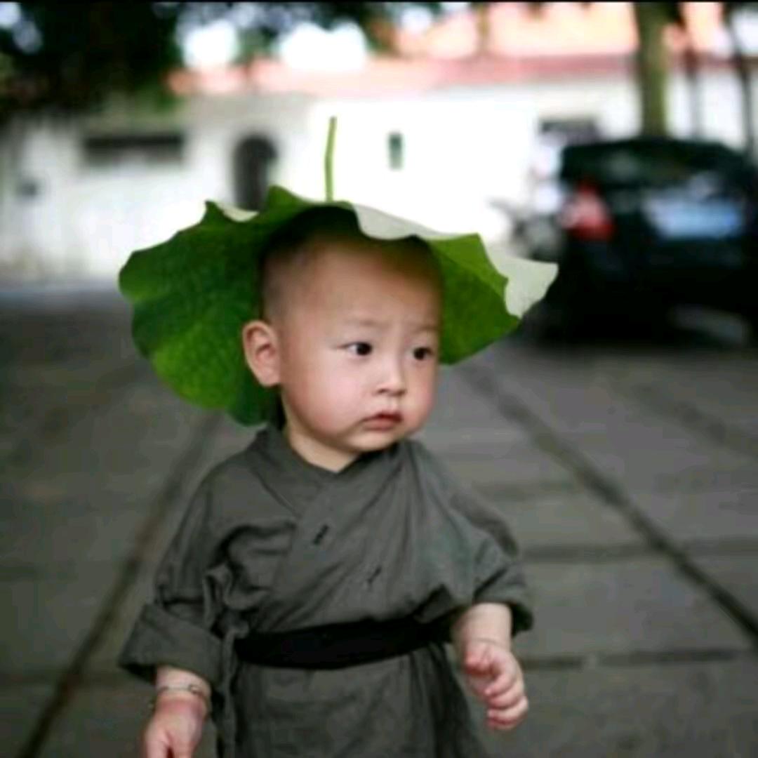 托托