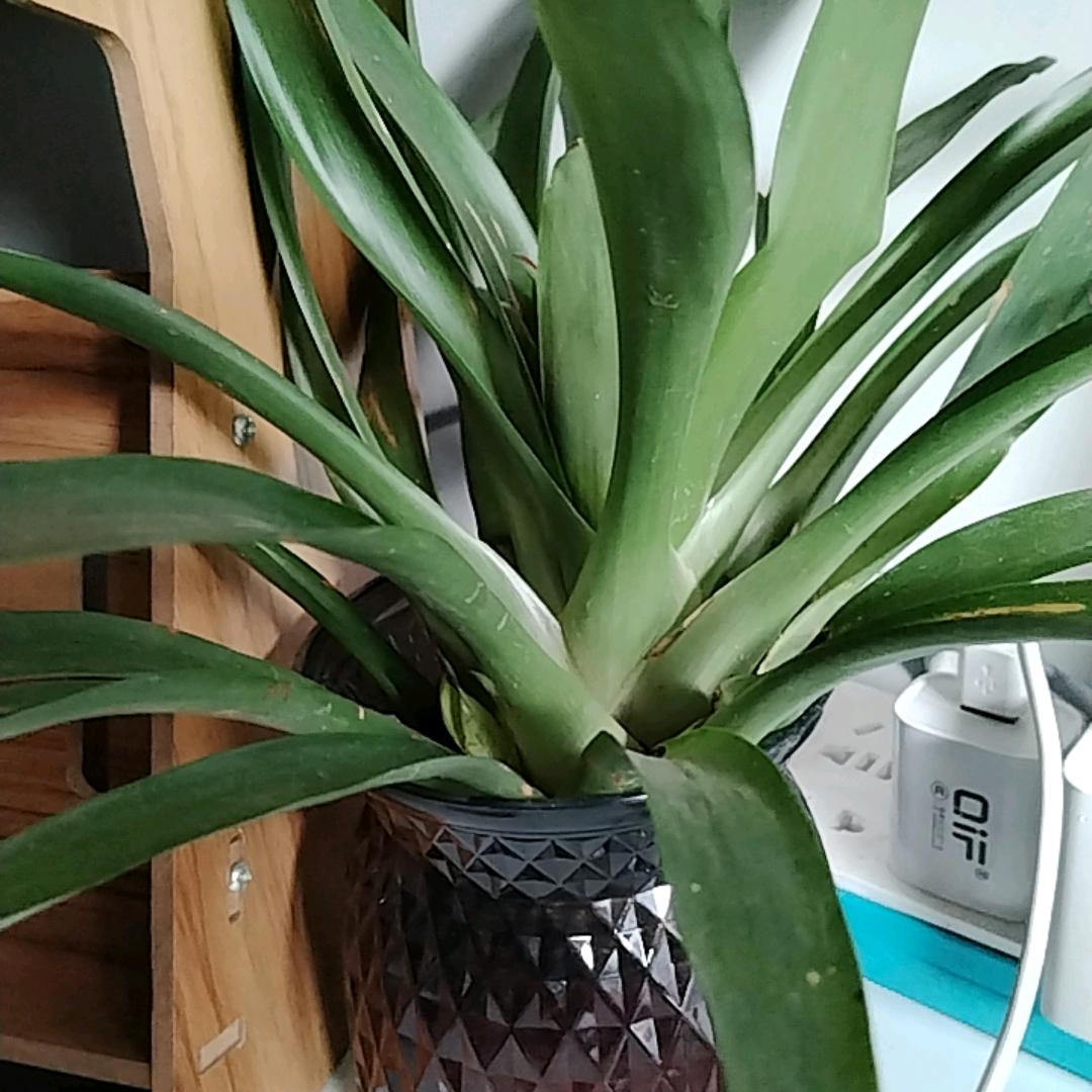 通气孔