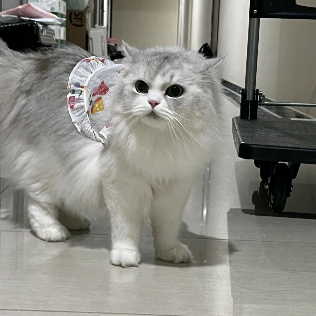 冷意
