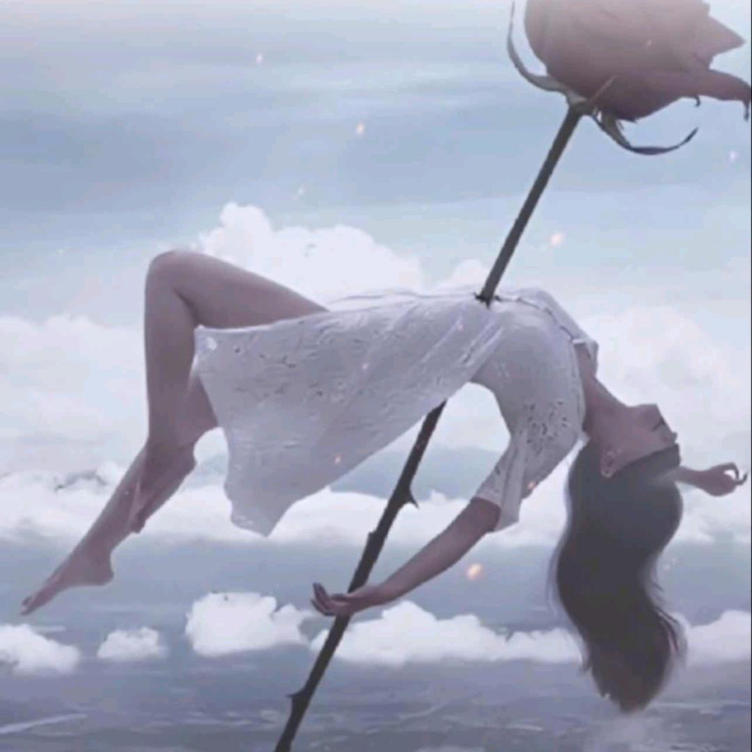 💞ঞ᭄余生໊随໊心ꦿഒᩚ࿐