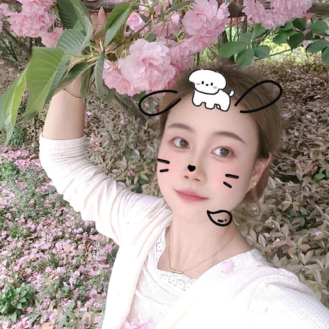 小洁记录生活（纯红薯粉条