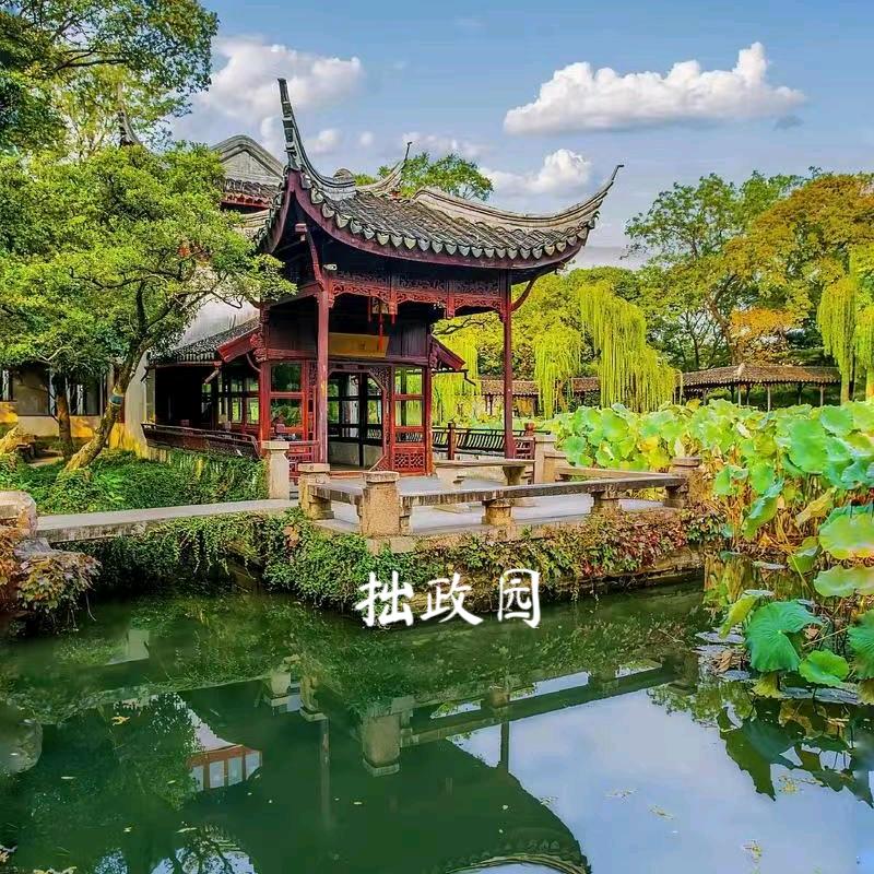 爱旅行的芳姐